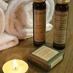홀리데이파크 Olydea